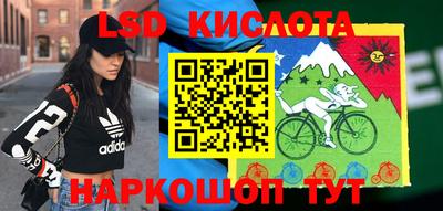 дживик Можга