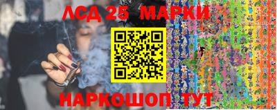 герыч Моздок
