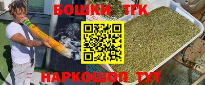 дживик Можга