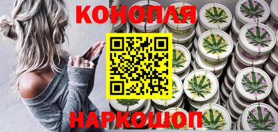 дживик Можга