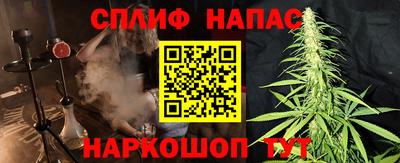 дживик Можга
