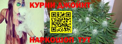 дживик Можга