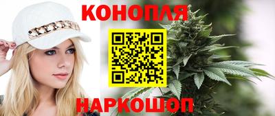 дживик Можга