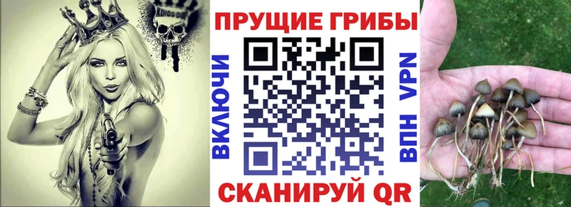Галлюциногенные грибы ЛСД  Приморско-Ахтарск 