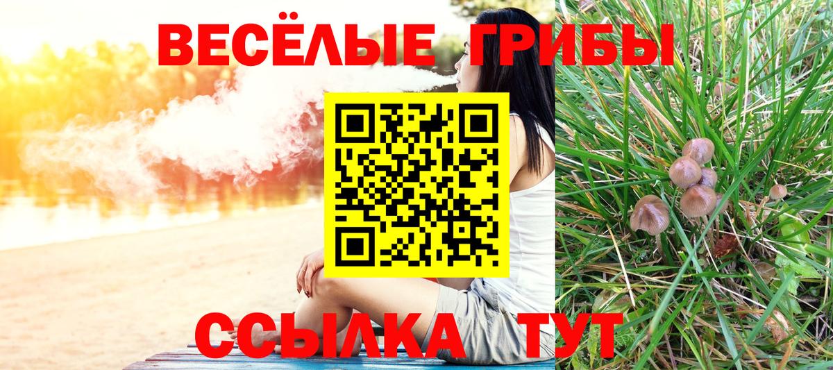 где найти наркотики  Вход с VPN  Приморско-Ахтарск  Псилоцибиновые грибы прущие грибы 