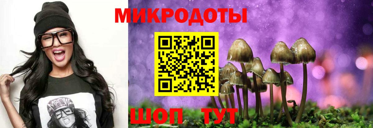 Галлюциногенные грибы Magic Shrooms Приморско-Ахтарск